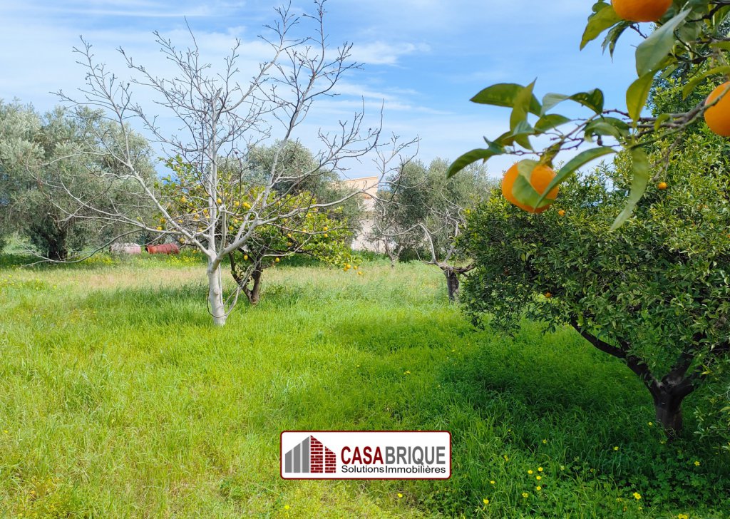 Sale Villas Casteldaccia - Detached villa Casteldaccia Locality 